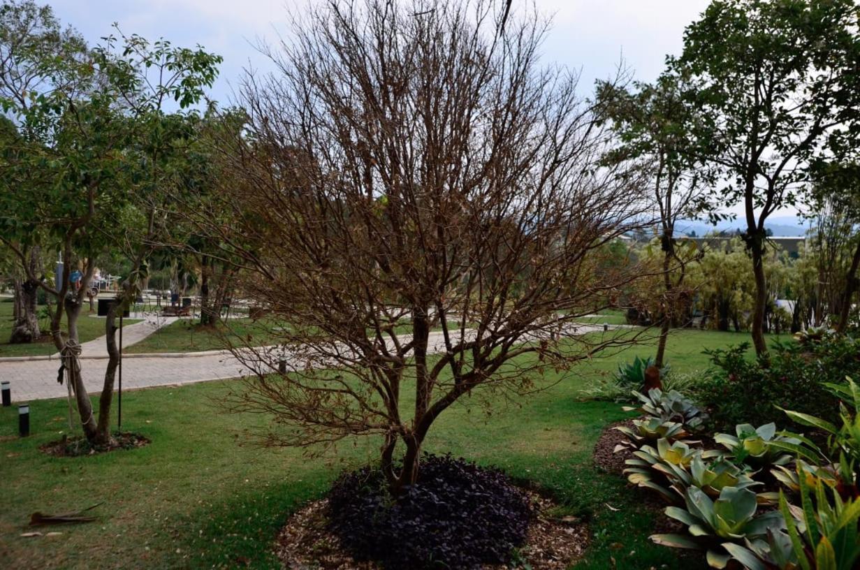 Resort Capao Do Cerrado E Itabirito